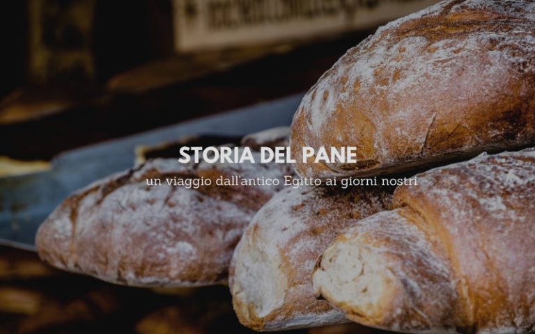 Storia del pane: un viaggio dall'antico Egitto ai giorni nostri