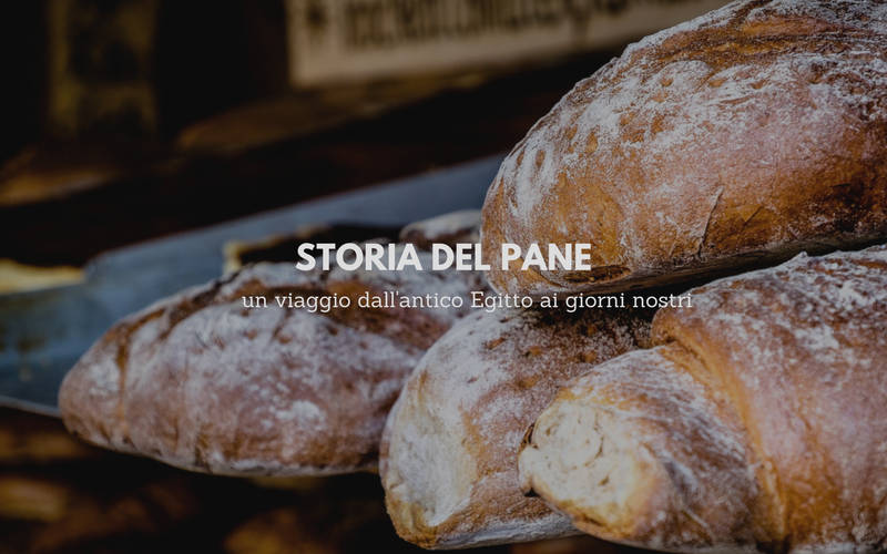 Storia del pane: un viaggio dall'antico Egitto ai giorni nostri